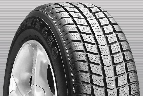 Roadstone Euro Win 650 (1)